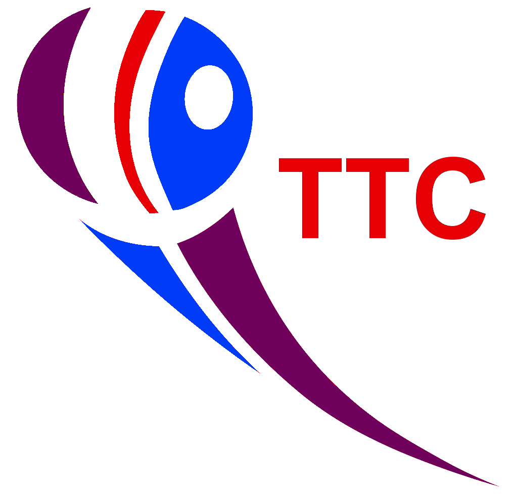Logo TENNIS DE TABLE CRITOURIEN